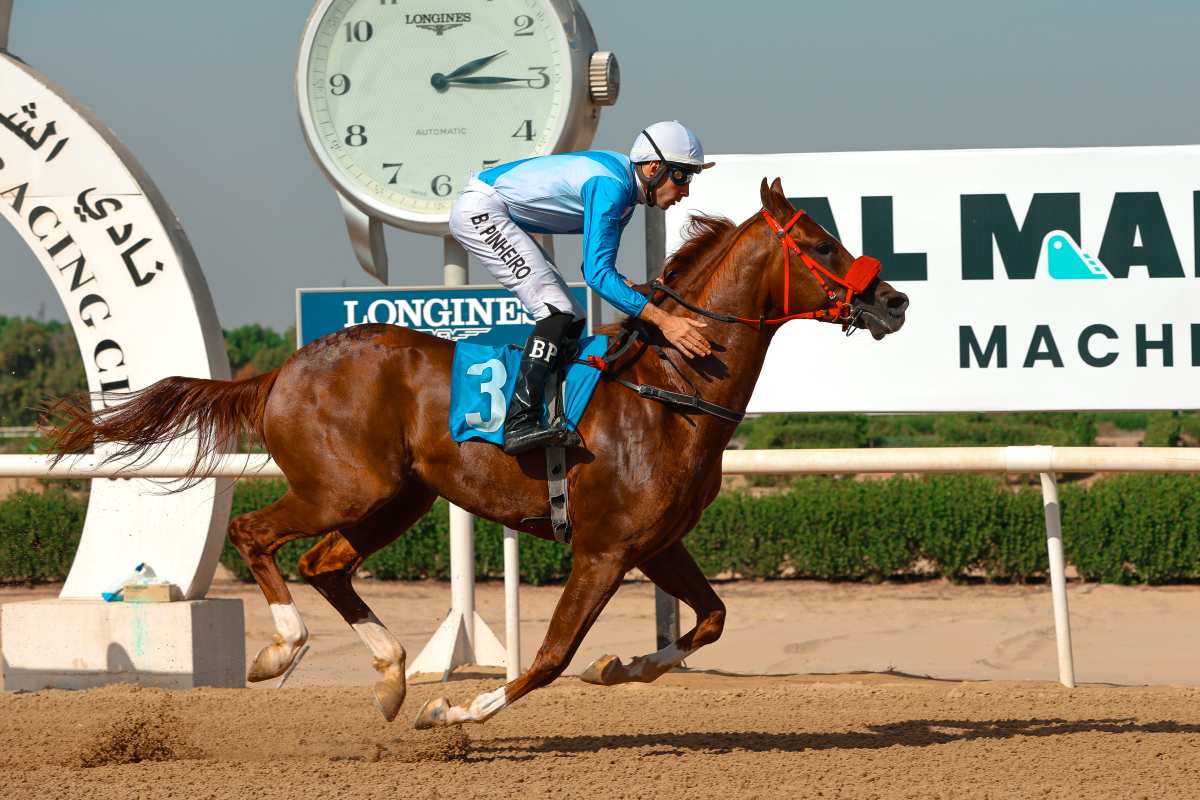 Sharjah Racecourse