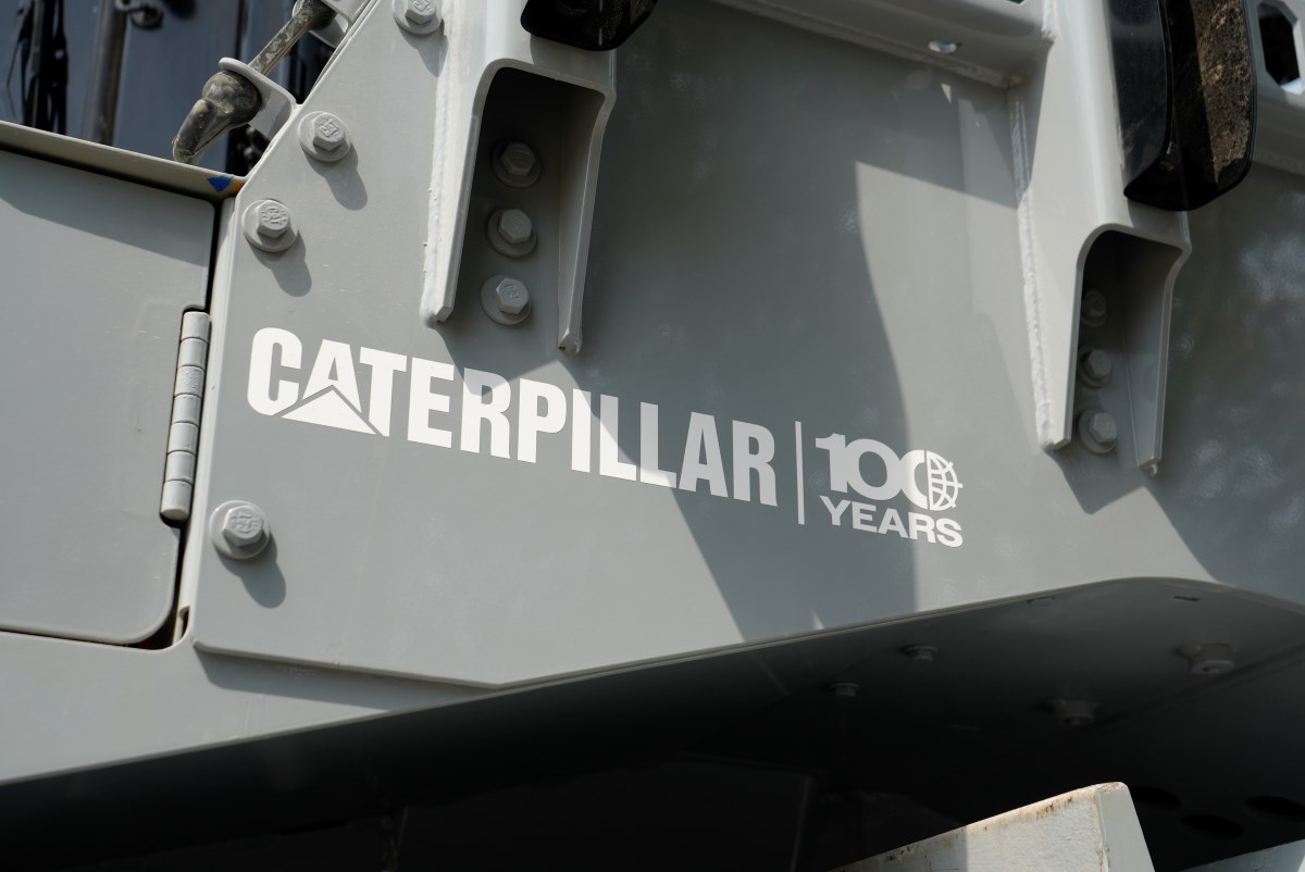 100 years - cat anniversery