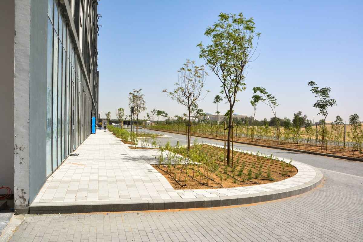 Al Marwan rental equipment division takes on a landscaping project in AlJada by Arada in Sharjah, UAE